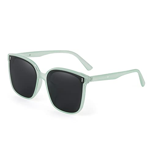 FEISEDY Classic Polarised Sunglasses for Women Vintage Square Trendy Oversized Sun Glasses B2758