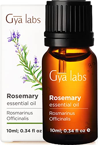 Gya Labs Rosemary Essential Oil for Hair Loss & Baldness (10ml) - 100% Pure Therapeutic Grade