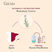 Load image into Gallery viewer, Gya Labs Rosemary Essential Oil for Hair Loss &amp; Baldness (10ml) - 100% Pure Therapeutic Grade
