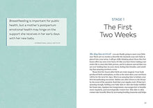 Load image into Gallery viewer, Latch: A Handbook for Breastfeeding with Confidence at Every Stage
