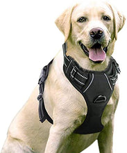 Load image into Gallery viewer, rabbitgoo No-Pull Dog Harness Padded Adjustable Pet Vest Harness with Handle Front Clip Harness for Large Dogs Training or Walking, Durable and No Choking-Black
