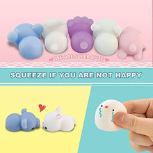 Load image into Gallery viewer, Auckpure Mochi Squishy Toys - 24 Pcs Random Toy Animals - Mini Squishy Animal Toys Party Decoration Toys - Squishy Toys for Kids and Adults
