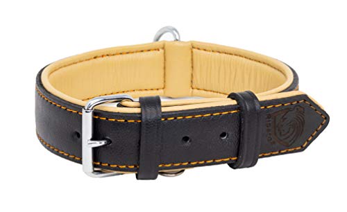 Riparo Genuine Leather Padded Dog Heavy Duty K-9 Adjustable Collar (S: 1.9CM Wide for 28CM - 34.3CM Neck, Black/Orange Thread)