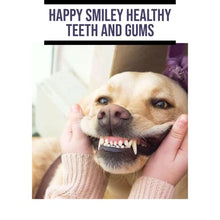 Load image into Gallery viewer, Happy Furry Pet | Cat Dog Silicone Finger Toothbrush &amp; Storage Case
