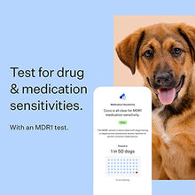 Load image into Gallery viewer, Wisdom Panel Breed Discovery - Dog DNA Collection Kit 2.0
