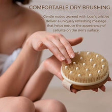 Load image into Gallery viewer, Dry Brushing Body Brush - Best for Exfoliating Dry Skin, Lymphatic Drainage and Cellulite Treatment - Organic Spa Exfoliation and Massage Scrub Brush with Natural Boar Bristles

