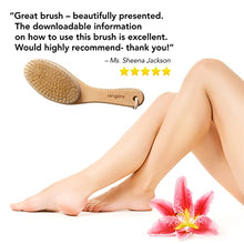 Load image into Gallery viewer, Rengöra Body Brush Perfect for Dry Brushing, Exfoliating, and Reducing the Appearance of Cellulite. Dry Brush and Get Healthier Skin Today
