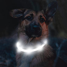 Load image into Gallery viewer, Joytale Light Up Dog Collar,LED Flashing Dog Collar for Night Walking, Illuminated USB Rechargeable Glow Collars for Puppy Small Medium and Large Dogs,White
