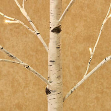 Load image into Gallery viewer, Hairui Pre Lit White Birch Tree 4FT 72 LED for Easter Christmas Holiday Party Festival Decorations Plug in
