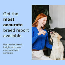 Load image into Gallery viewer, Wisdom Panel Breed Discovery - Dog DNA Collection Kit 2.0
