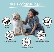 Load image into Gallery viewer, Taré Pets Advanced Joint Supplements for Dogs | For Pups and Seniors | MSM Chondroitin &amp; Glucosamine for Dogs | Ecologically Made
