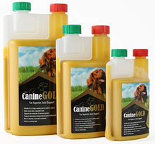 Load image into Gallery viewer, Canine Gold - Hip and Joint Care Supplement For Dogs - 100% Natural Ingredients (500ml)
