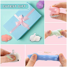 Load image into Gallery viewer, Auckpure Mochi Squishy Toys - 24 Pcs Random Toy Animals - Mini Squishy Animal Toys Party Decoration Toys - Squishy Toys for Kids and Adults
