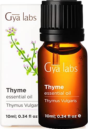 Gya Labs Thyme Essential Oil (10ml) - Sweet, Herbaceous Scent