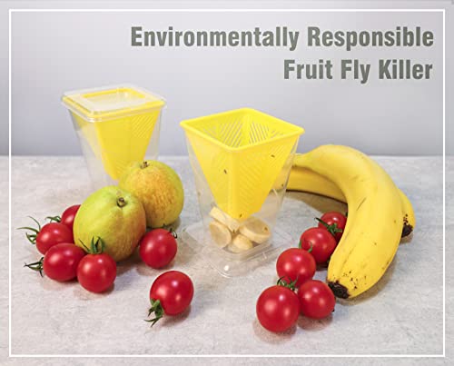 Load image into Gallery viewer, 4x Fruit Fly Trap Indoor Gnats Trap ...