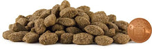 Load image into Gallery viewer, Skinners Life Complete Dry Sensitive Dog Food Chicken, 12.5 kg
