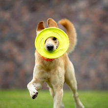 Load image into Gallery viewer, SKIPDAWG Interactive Dog Tug Toy, Flying Disc Dog Toy Light Weight TPR/Nylon Fabric Non-Toxic Material, Pet Training Toys/Outdoor Exercise Toys for Dogs, Diameter 9 Inches
