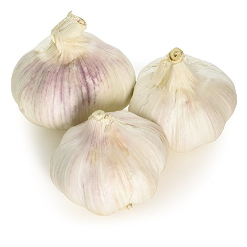 Farm Folk Garlic, Pack of 3