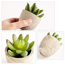 Load image into Gallery viewer, PRIMAISON Artificial Succulents Plants Potted Set-Decorative Fake Succulent Plant Faux Plastic Plant Indoor &amp;Outdoor for House Office Desk Bathroom Kitchen DIY Decor Gift Set of 6

