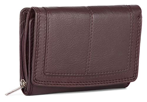 Ladies Designer RFID SAFE Protection Luxury Quality Soft Nappa Leather Purse Multi Credit Card Women Clutch Wallet with Zip pocket (Brown)