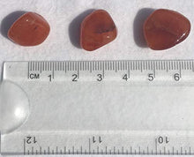 Load image into Gallery viewer, 3 Pc Carnelian Small-Medium Crystal Tumble Stones

