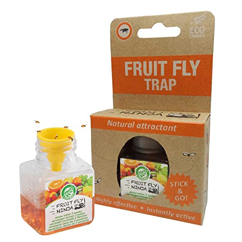 Super Ninja - Fruit Fly Trap - Single Pack - Highly Effective Ecological Fruit Fly Traps Indoor - Environmentally Responsible Fruit Fly Killer - User Friendly - Up to 3 Weeks per Bottle