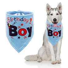 Load image into Gallery viewer, dog birthday presents
