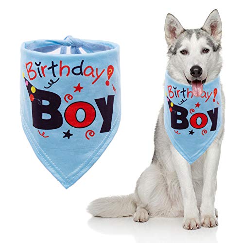 dog birthday presents