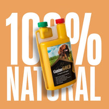 Load image into Gallery viewer, Canine Gold - Hip and Joint Care Supplement For Dogs - 100% Natural Ingredients (500ml)
