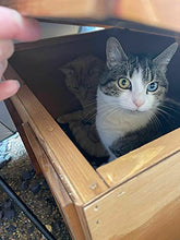 Load image into Gallery viewer, Large Cat House - Wooden Pet For Indoors and Outdoors Feral Stray Shelter Winter Waterproof Protection From Weather Den, brown (CT5)
