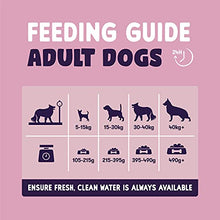 Load image into Gallery viewer, Burgess Sensitive Dry Dog Food Salmon, 12.5 kg

