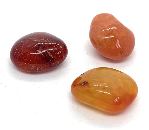 3 Pc Carnelian Small-Medium Crystal Tumble Stones