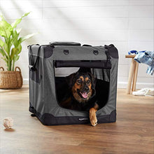 Load image into Gallery viewer, Amazon Basics - Foldable soft pet carrier, high quality, 76 cm, Gray
