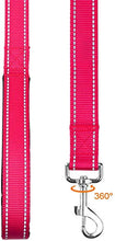 Load image into Gallery viewer, Taglory Reflective Dog Training Lead, Neoprene Padded Handle and Metal Hook, 1.2 m x 2.0 cm Nylon Leash for Small Dogs, Hot Pink
