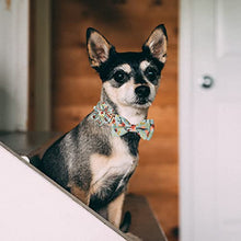 Load image into Gallery viewer, Dog Collar, Adjustable Dog Collars with Metal Quick Release Buckle, Daisy Tie &amp; Bow tie Collar Dogs Collars (Green)

