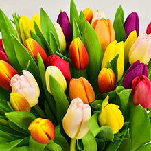 Load image into Gallery viewer, All Occasions Tulip Selection Hand-Tied, Beautiful Fresh Flowers, A Perfect Mother&#39;s Day Fresh Flower Gift
