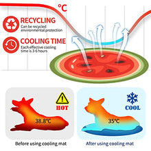 Load image into Gallery viewer, Furrybaby Dog Cooling Mat, Pet Bed Dog Mat Self-Cooling Pad Cool Gel Bed Large Dog Cooling Pads Mats, No Need to Refrigerate or Freeze, Apply Indoors Outdoors Car(Watermelon XL 65cm)
