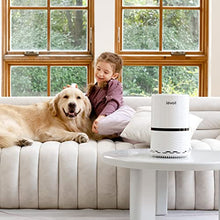 Load image into Gallery viewer, best air purifier canada
