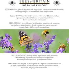 Load image into Gallery viewer, 99% Natural SHAMPOO - ALOE VERA, LAVENDER &amp; MINT - 250ml by BEES of BRITAIN. No Sulfates, No Parabens. pH 5.5 Balanced for Sensitive Skin. We Donate 5% of our Profit to Help Save Bees &amp; Pollinators.
