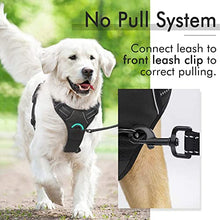 Load image into Gallery viewer, rabbitgoo No-Pull Dog Harness Padded Adjustable Pet Vest Harness with Handle Front Clip Harness for Large Dogs Training or Walking, Durable and No Choking-Black

