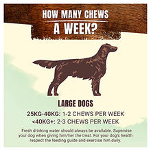 Load image into Gallery viewer, Adventuros Wild Large Dog Chew, 200g
