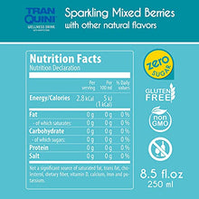 Load image into Gallery viewer, Plant Based Wellness Drink | Zero Sugar | Sparkling | All-Natural Herbal Delicious Drink | Gluten-free, Zero Carb, Vegan with Adaptogens | 6x 250ml Variety Pack
