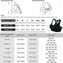 Load image into Gallery viewer, FITTIN Racerback Sports Bras Pack of 3 Padded Seamless Med Impact Support for Yoga Gym Workout Fitness L
