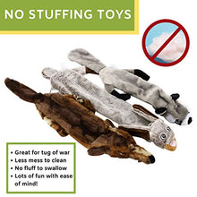 Load image into Gallery viewer, Buddy Wild Plush Dog Toys - Squeaky, cuddly soft chew bundle - 5 pack set - durable, interactive toys for puppy and small dogs - variety with 3 no stuffing animals
