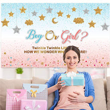 Load image into Gallery viewer, Pink and Blue Gender Reveal Decorations Girl or Boy Pregnancy Announcement Banner Gender Surprise Backdrop Background Twinkle Twinkle Little Star for Baby Shower, 72.8 x 43.3 Inch
