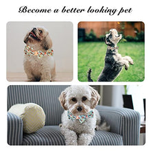 Load image into Gallery viewer, Dog Collar, Adjustable Dog Collars with Metal Quick Release Buckle, Daisy Tie &amp; Bow tie Collar Dogs Collars (Green)
