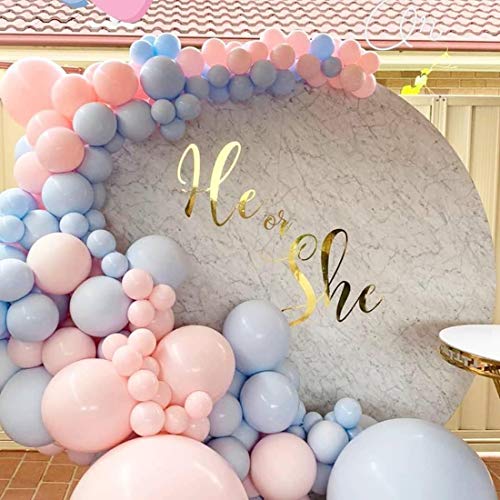 Blue Pink Balloons Garland Arch Kit, 16Ft Long Baby 110pcs Pink and Baby Blue Balloons for Gender Reveal Party, He or She Gender Reveal, Boy or Girl Party Baby Shower Party Decorations.