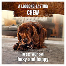 Load image into Gallery viewer, Adventuros Wild Large Dog Chew, 200g
