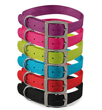 Load image into Gallery viewer, Ancol Viva Lightweight Buckle Collar Blue , Collar Size 3 to fit 28-36cm , Weather Proof
