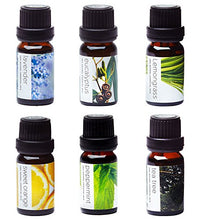 Load image into Gallery viewer, Essential Oils by PURE AROMA 100% Pure Therapeutic Grade Oils kit- Top 6 Aromatherapy Oils Gift Set-6 Pack, 10ML(Eucalyptus, Lavender, Lemon Grass, Orange, Peppermint, Tea Tree)
